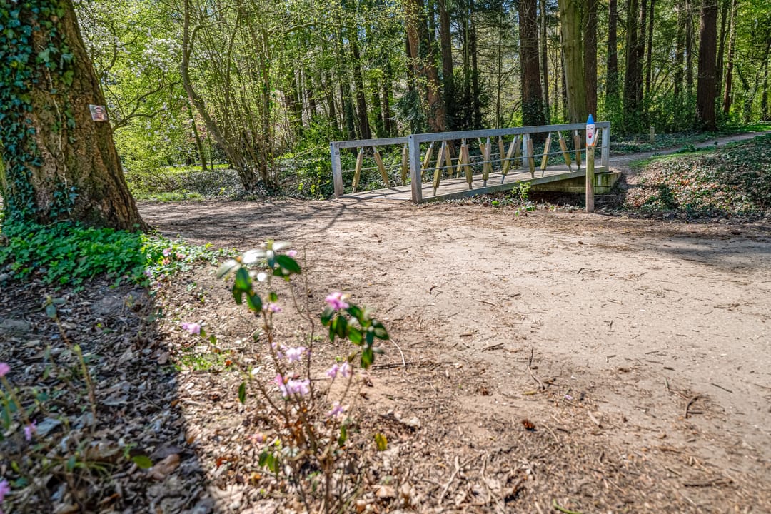 Foto 47 van Vondellaan 43