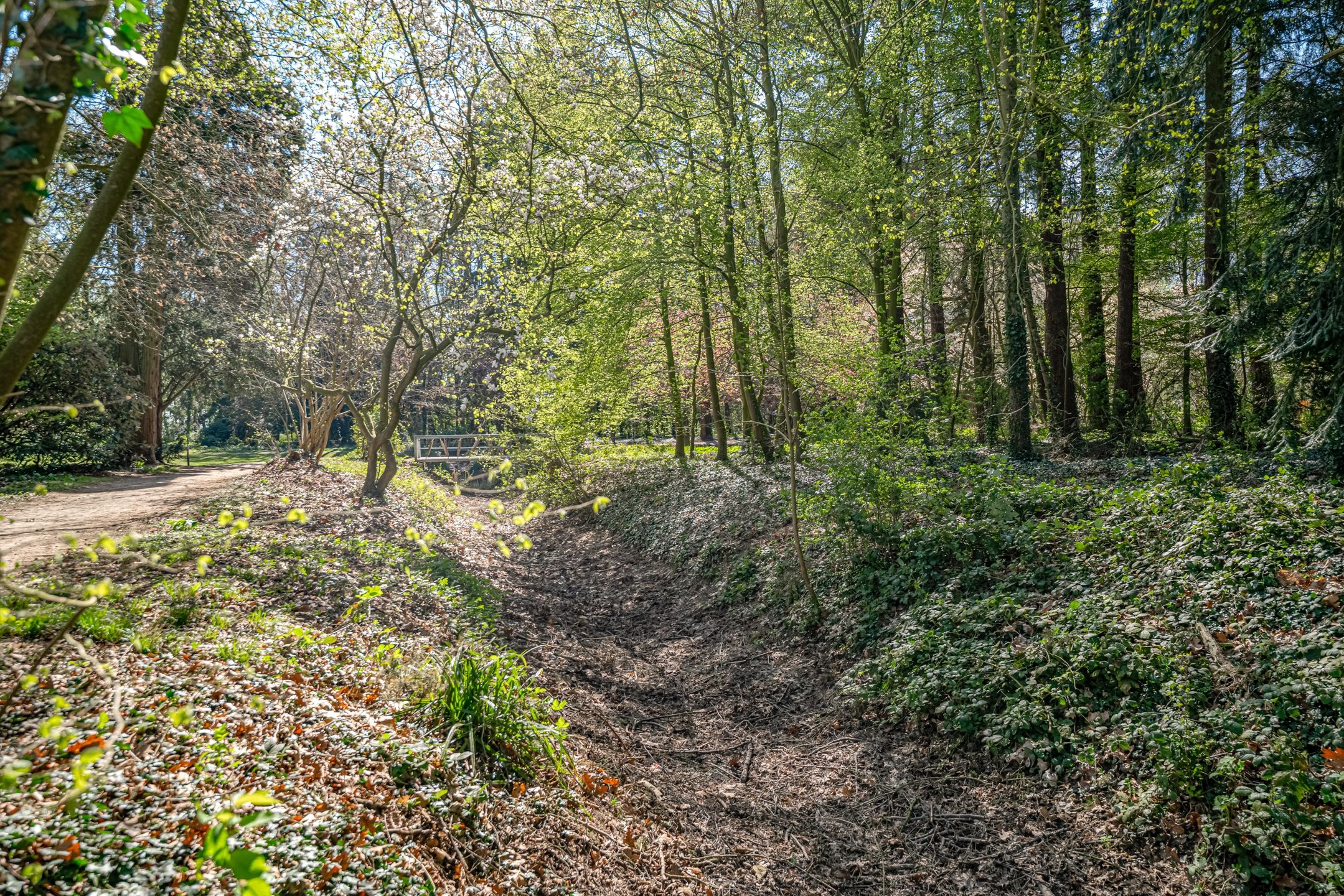 Foto 48 van Vondellaan 43