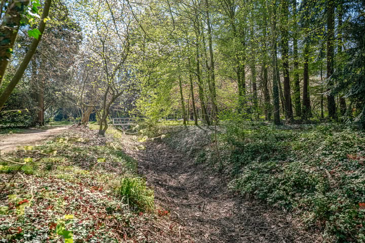 Foto 48 van Vondellaan 43