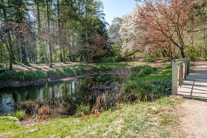 Foto 50 van Vondellaan 43