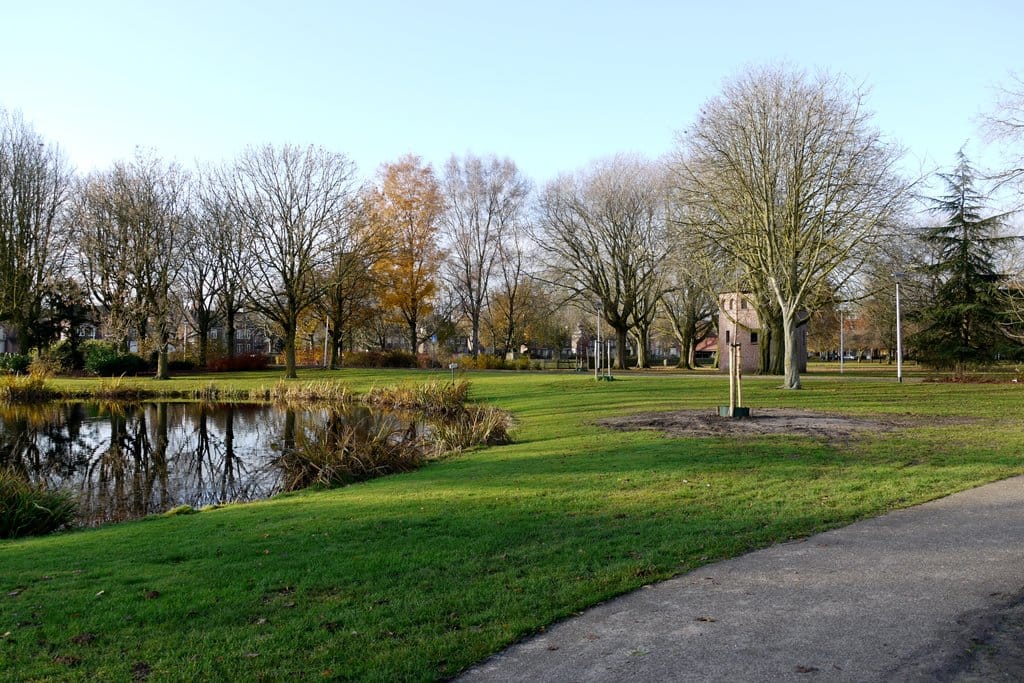 Foto 25 van Geysendorfferstraat 11-D