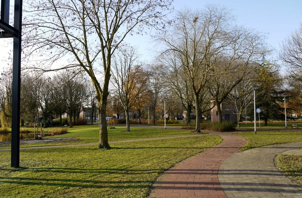 Foto 26 van Geysendorfferstraat 11-D