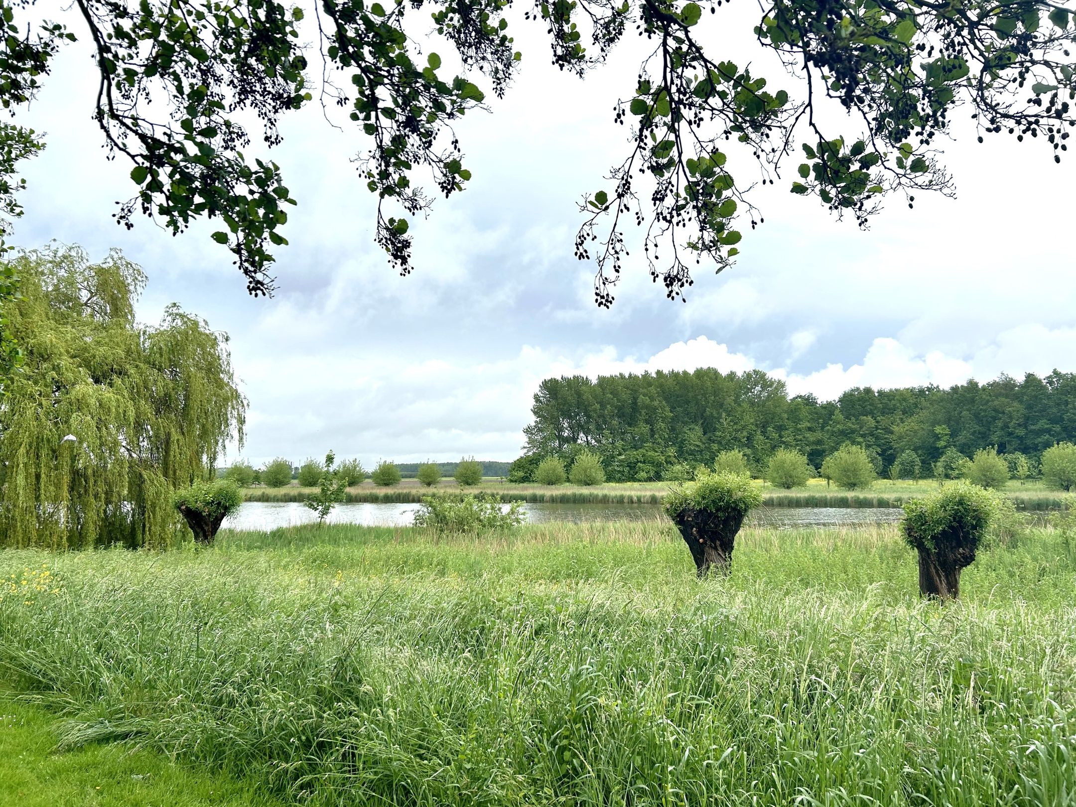 Foto 33 van Irisstraat 32