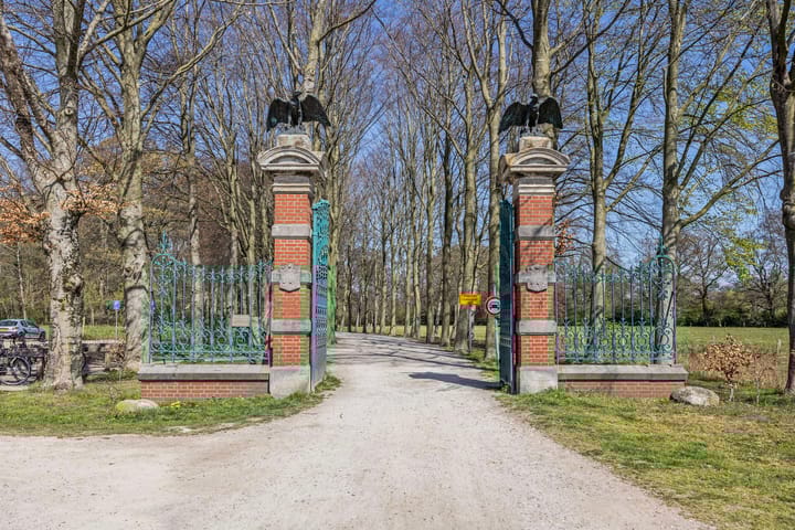 Foto 40 van Johan van Reesstraat 3