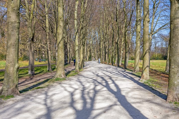 Foto 42 van Johan van Reesstraat 3