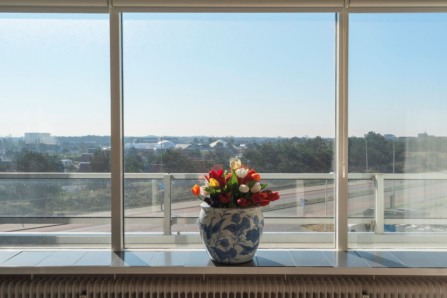 Foto 4 van Burgemeester van Alphenstraat 59-F8