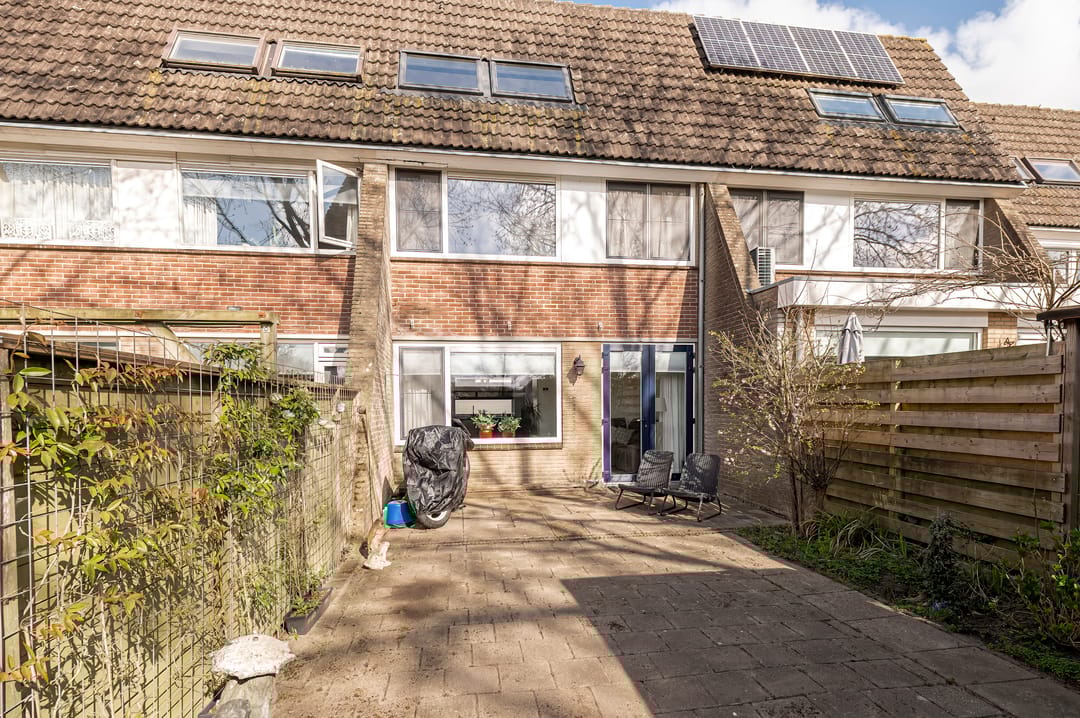 Photo 1 of Ganzebloem 7