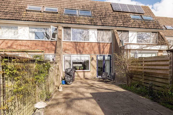 Foto 1 van Ganzebloem 7