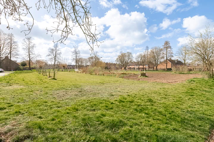 Foto 3 van Ganzebloem 7