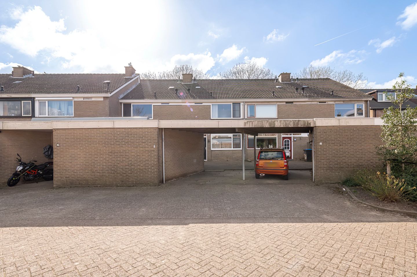 Photo 4 of Ganzebloem 7