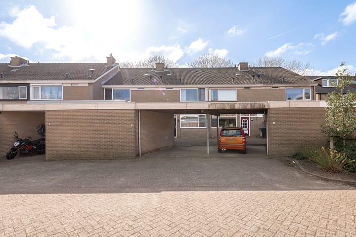 Foto 4 van Ganzebloem 7