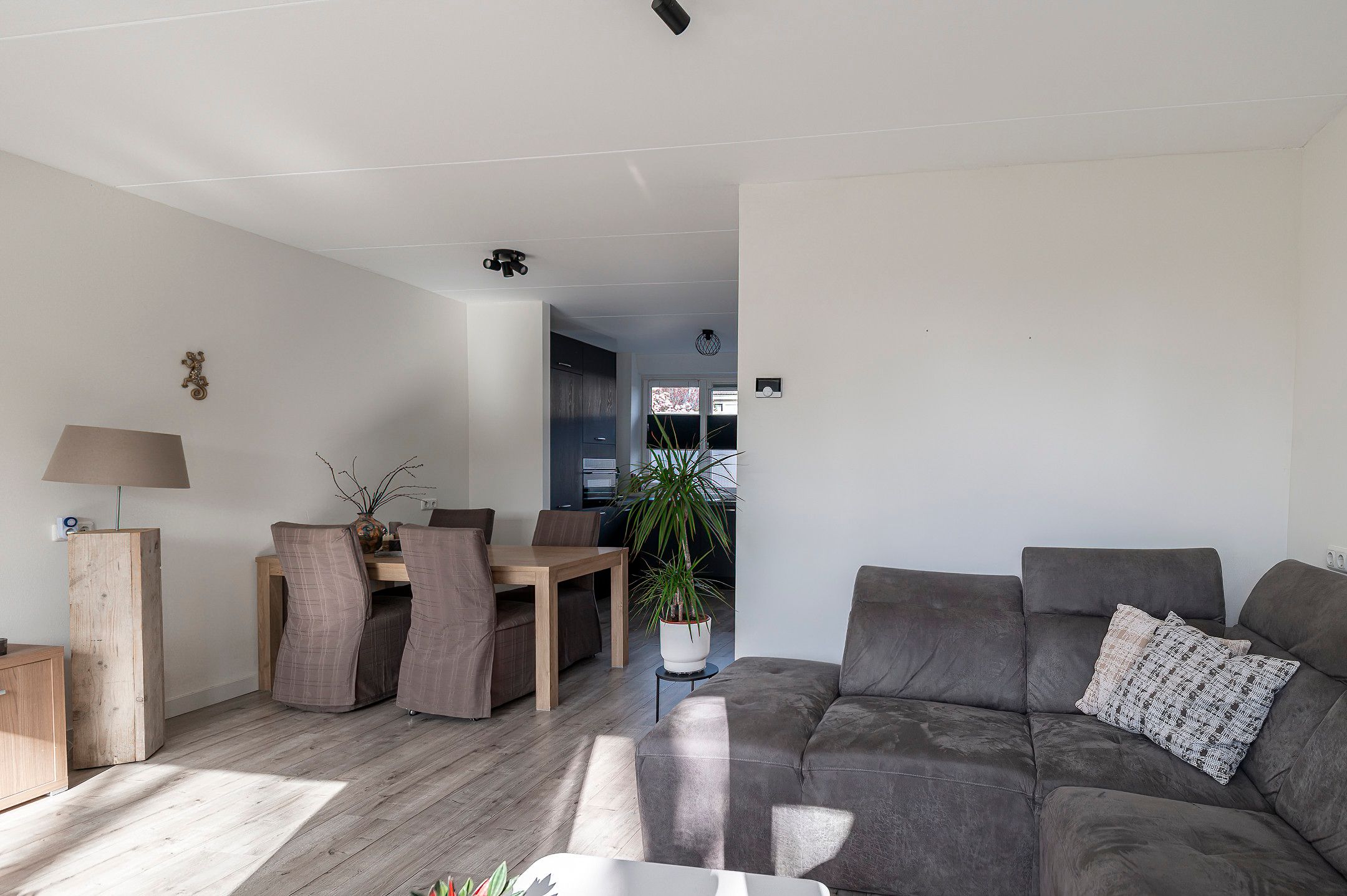 Photo 6 of Ganzebloem 7