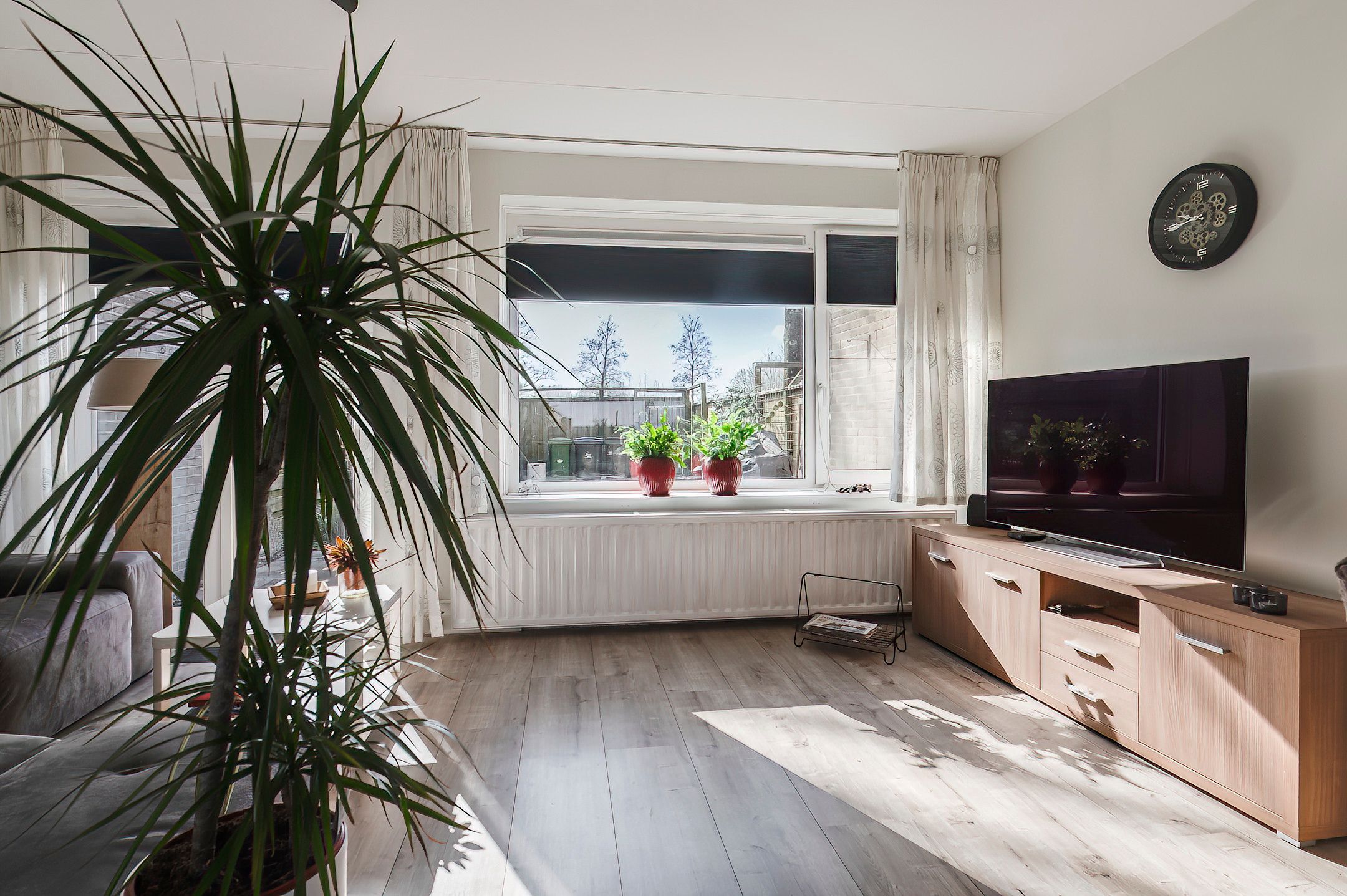 Photo 12 of Ganzebloem 7