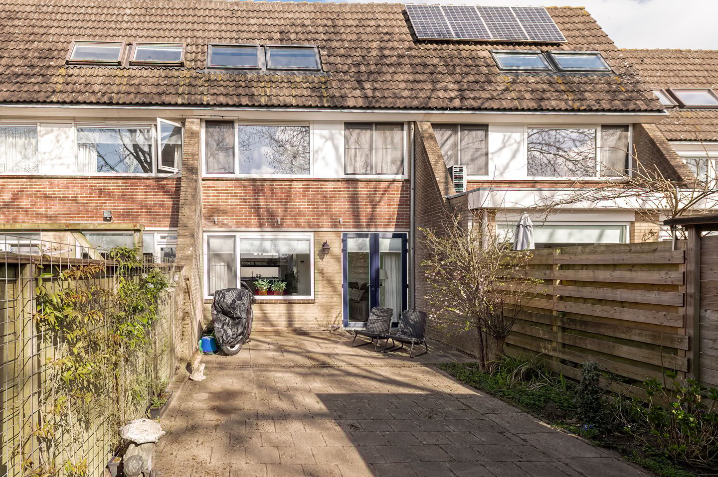 Photo 14 of Ganzebloem 7