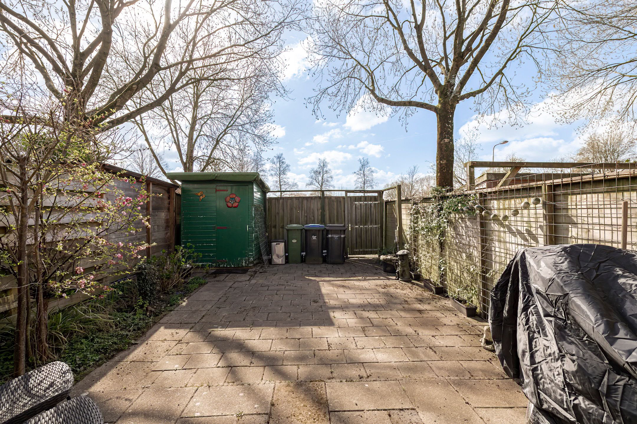 Photo 15 of Ganzebloem 7