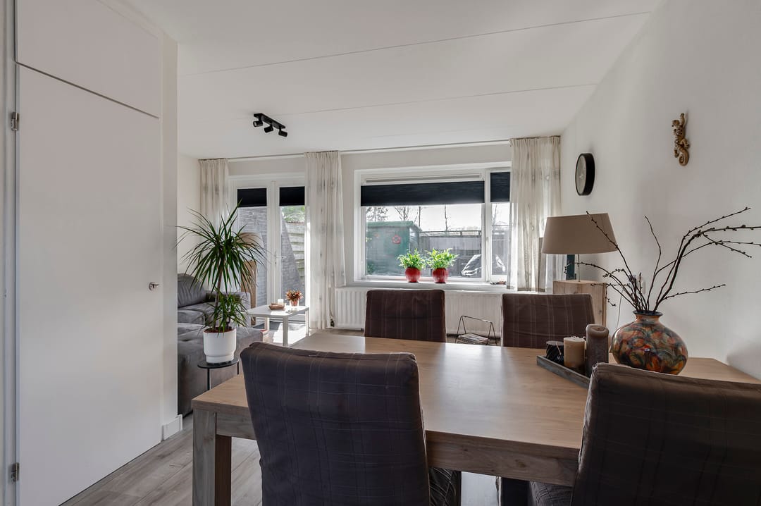 Photo 13 of Ganzebloem 7