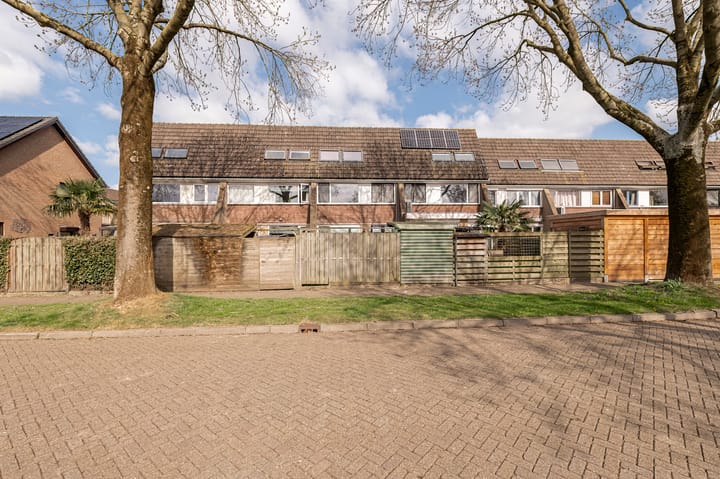 Foto 31 van Ganzebloem 7