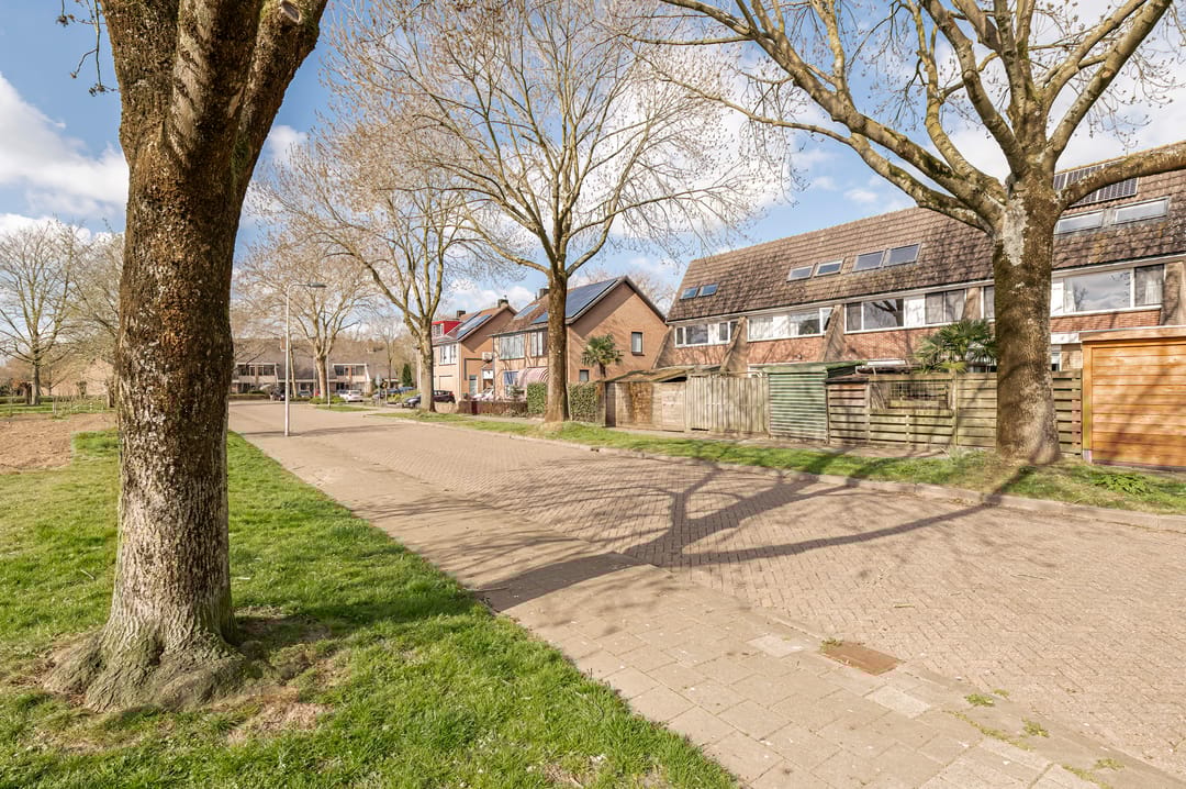 Photo 32 of Ganzebloem 7