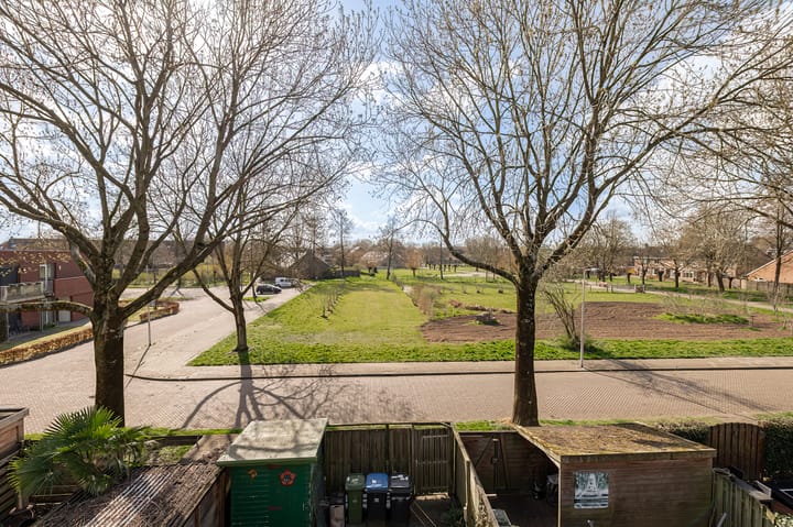 Foto 33 van Ganzebloem 7