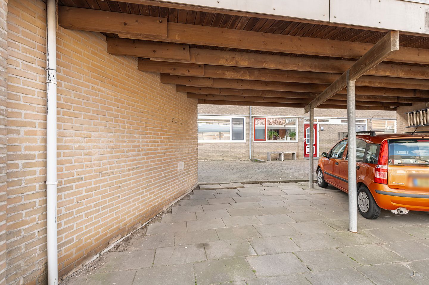 Photo 35 of Ganzebloem 7