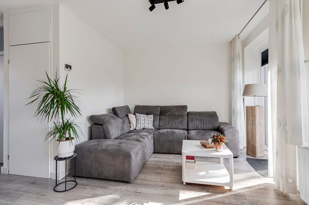 Photo 11 of Ganzebloem 7