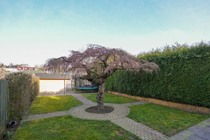 Foto 46 van Bodemplein 23