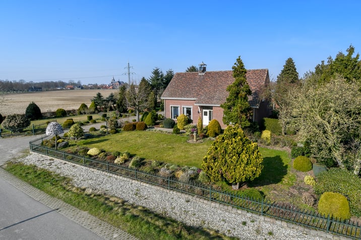 undefined main image