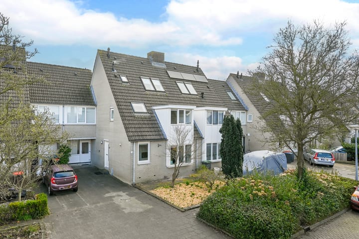 Foto 1 van Rotgans 22