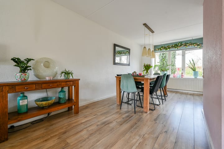 Foto 12 van Rotgans 22