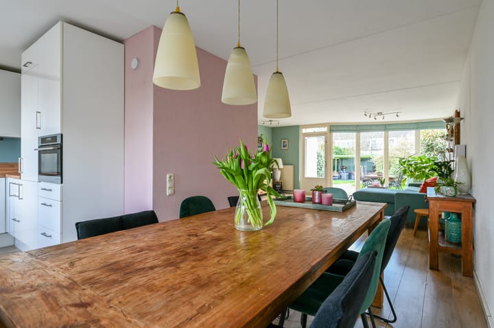 Foto 13 van Rotgans 22