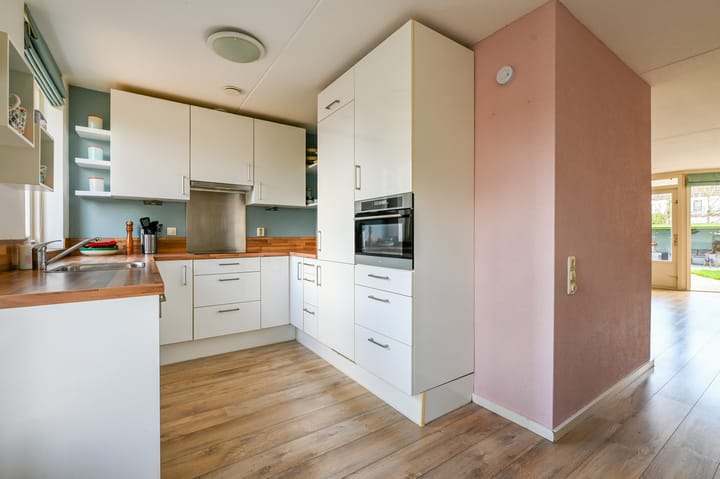 Foto 14 van Rotgans 22