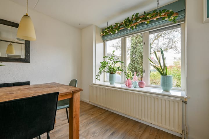 Foto 15 van Rotgans 22