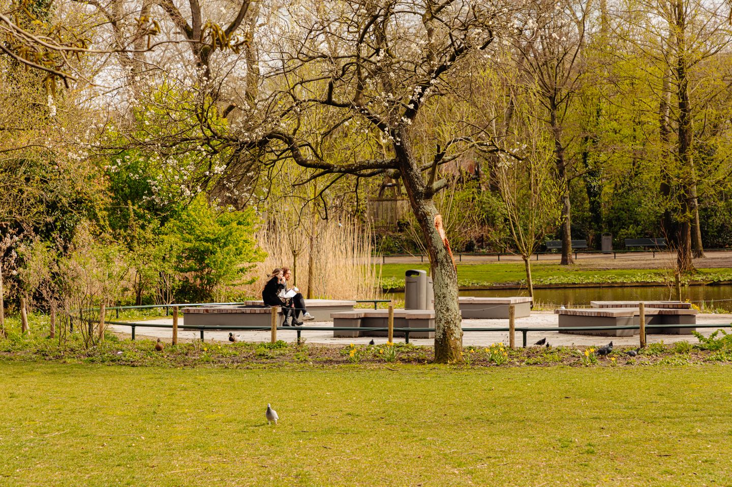 Photo 35 of Sint Willibrordusstraat 14