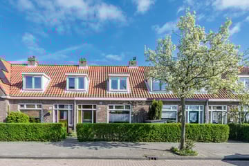 Karel van Manderstraat thumbnail