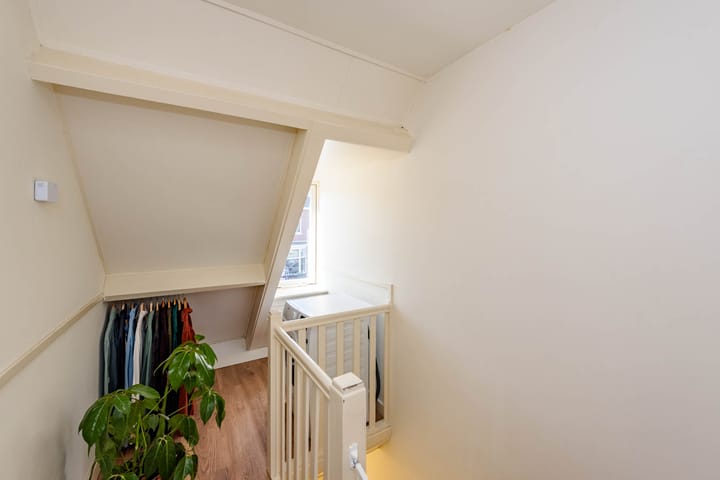 Foto 27 van Karel van Manderstraat 103