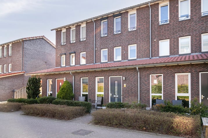 undefined main image