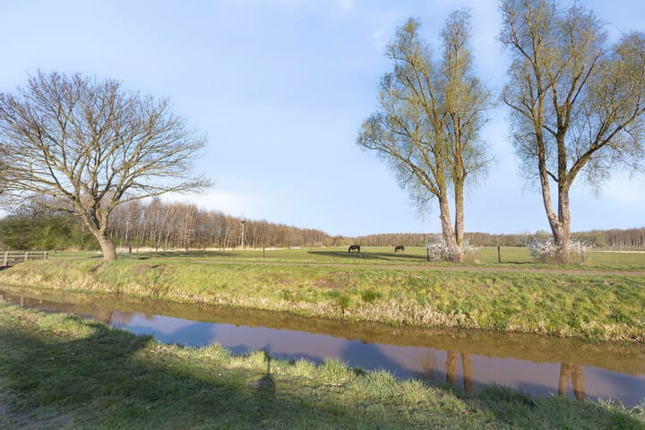 Foto 2 van Streng 100