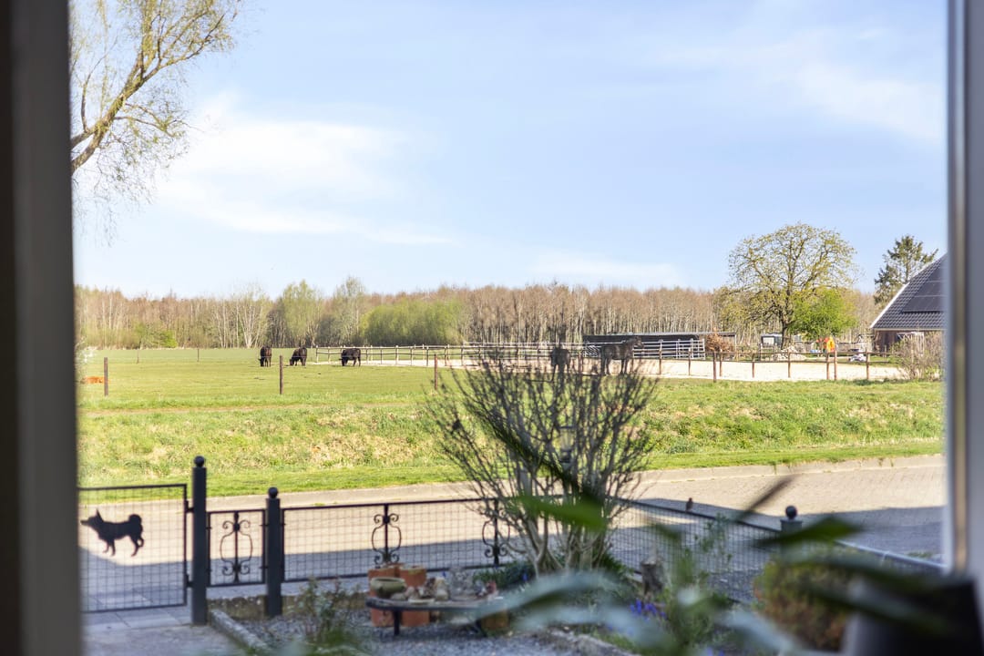 Foto 7 van Streng 100