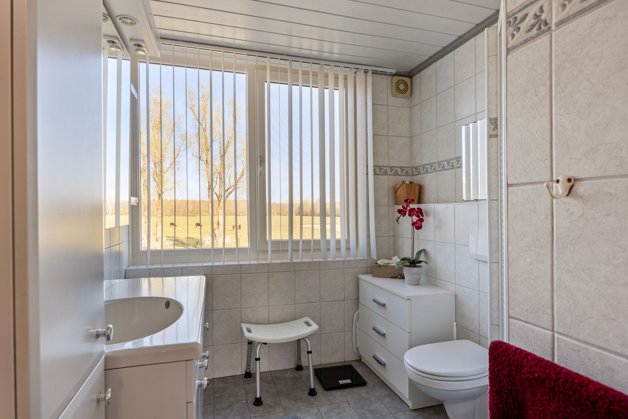 Foto 21 van Streng 100