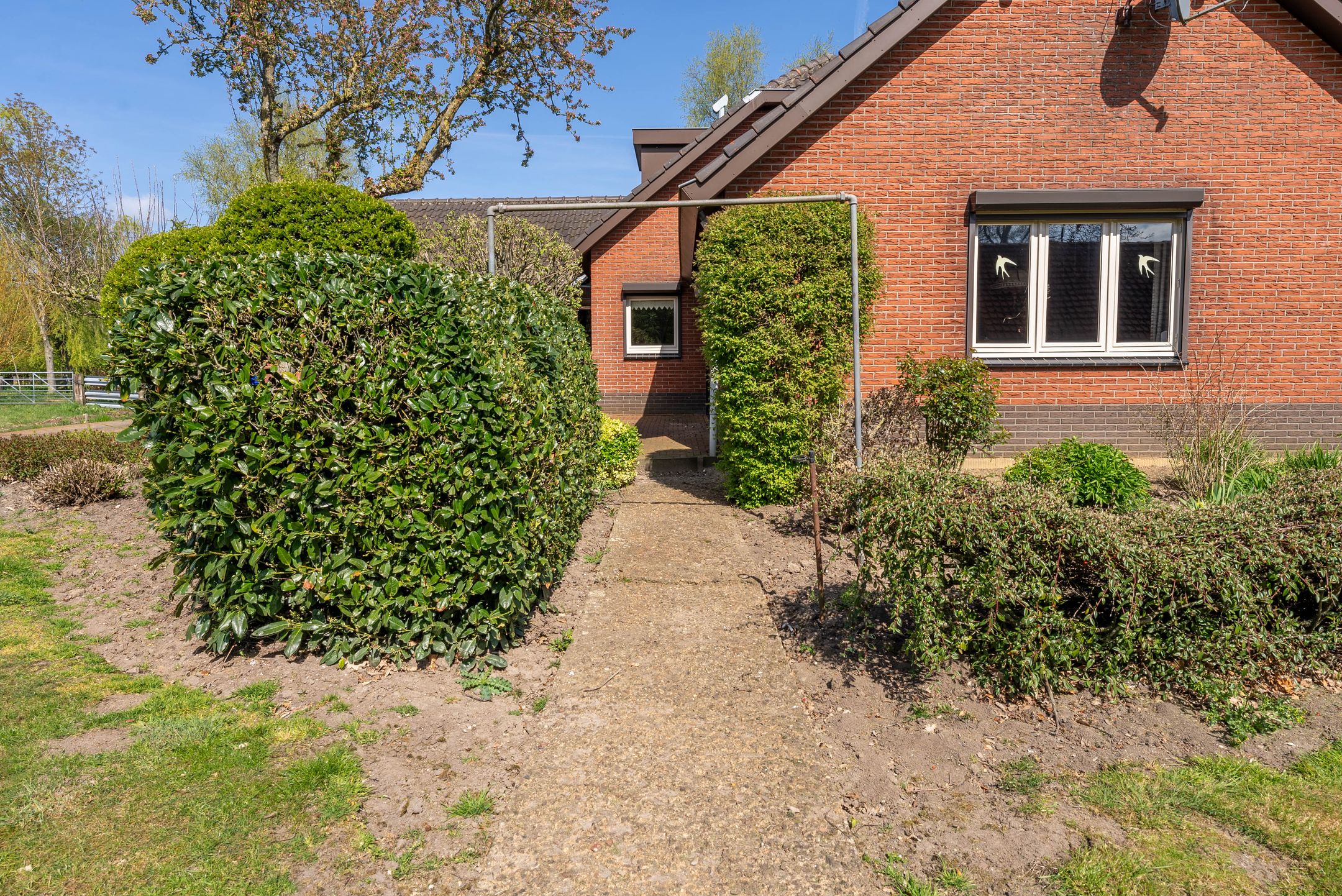 Foto 75 van Bolgerijsekade 3