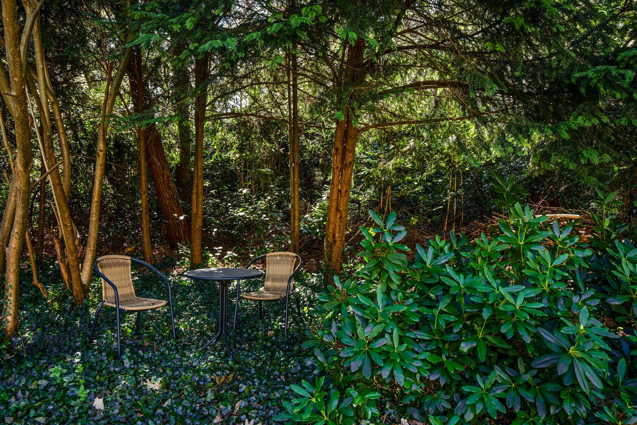 Photo 54 of Prinses Beatrixlaan 11