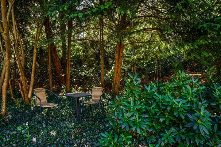 Foto 54 van Prinses Beatrixlaan 11