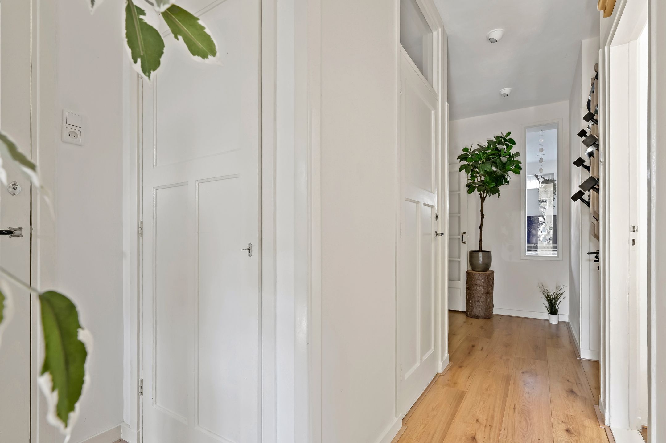 Foto 12 van Van Heutszstraat 59