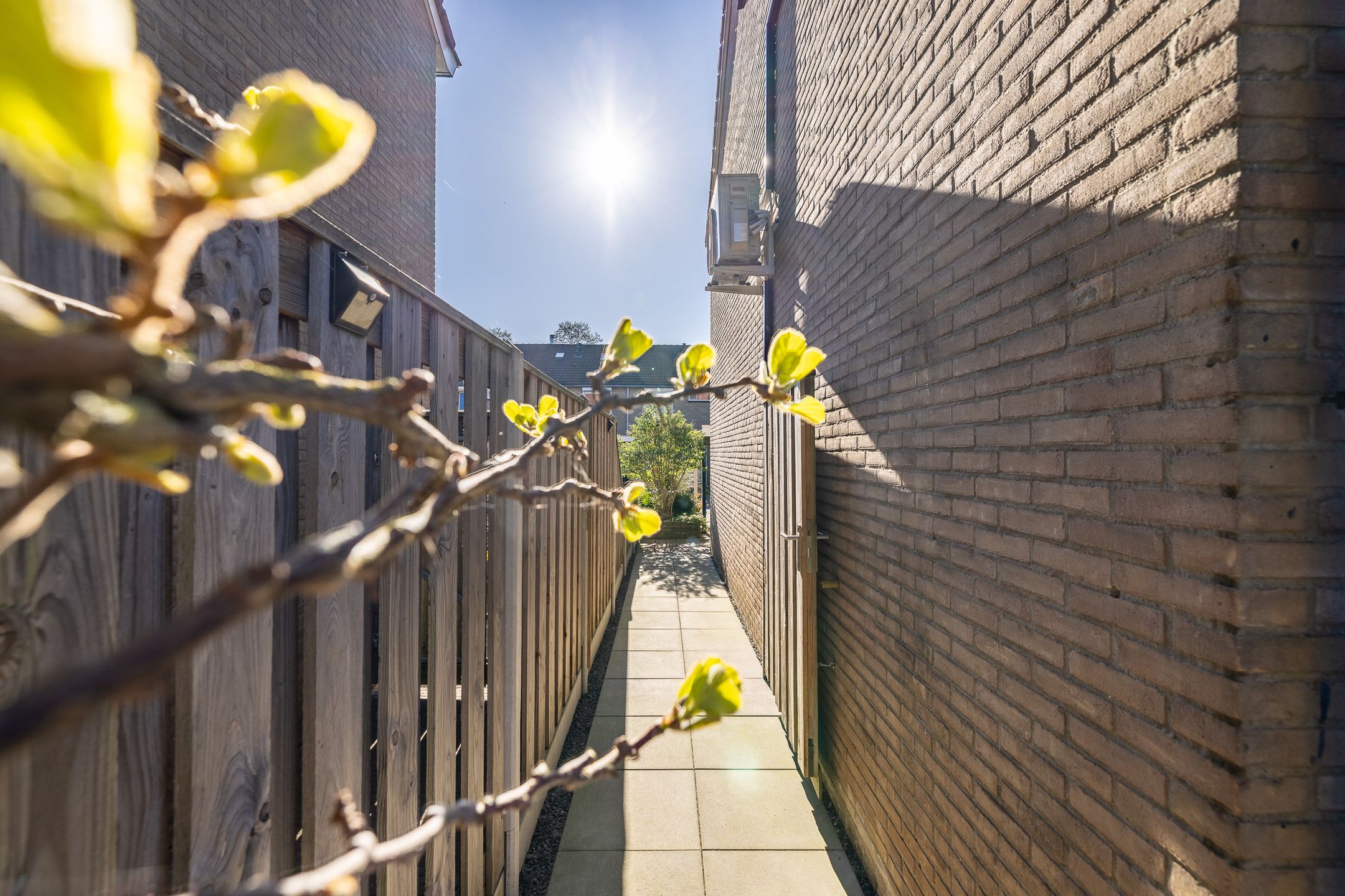 Foto 18 van Wannedreef 60