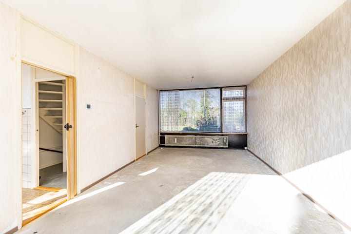 Foto 5 van Kipkampen 5