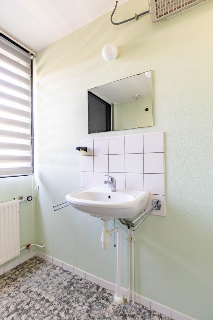 Foto 19 van Kipkampen 5