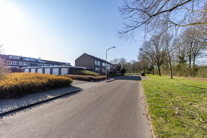 Foto 31 van Kipkampen 5