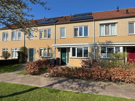 undefined main image