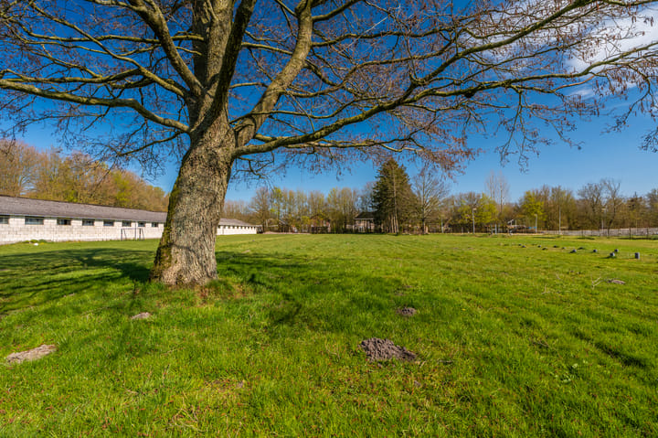 Photo 12 of Molenstreek 13