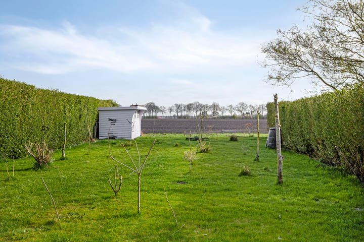 Photo 35 of Greveling 173